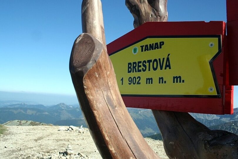 Roháčska hrebeňovka (Spálená, Salatín, Brestová)