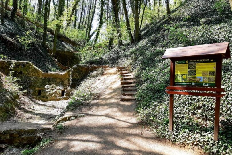 Haluzická tiesňava