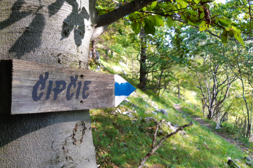 Čipčie z Turia