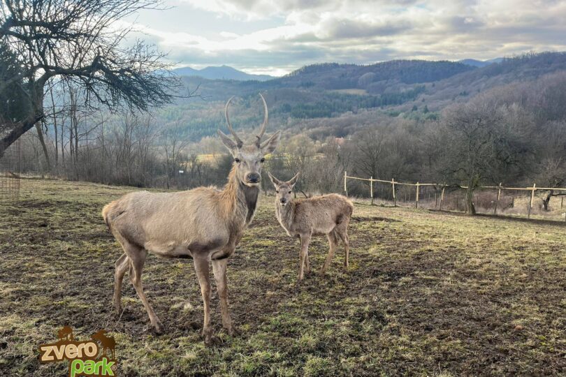 Zveropark Žarnovica