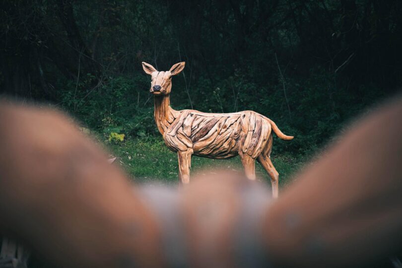 Woodlandia Liptov: Nový rodinný park s obrími sochami zvierat z naplaveného dreva